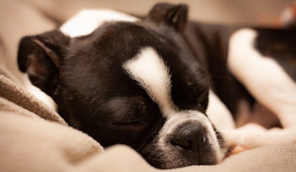 The power of sleep on your mental health