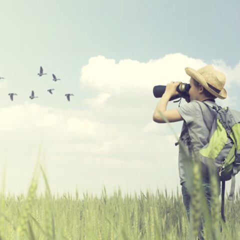 Psychologically-Minded Schools Pathway