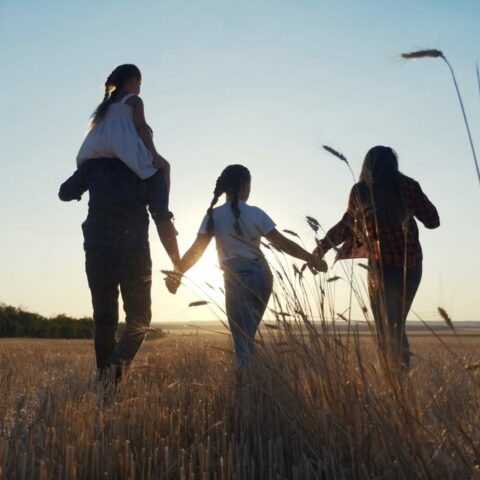 Family Therapy