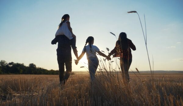 family therapy services