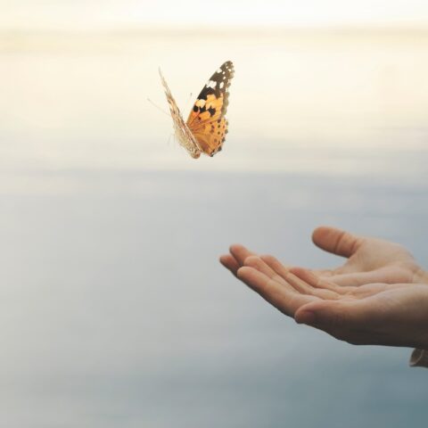 Acceptance & Commitment Therapy (ACT)